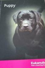 lot boeken over honden raadgevingen en informatie, Boeken, Ophalen of Verzenden, Gelezen, Honden