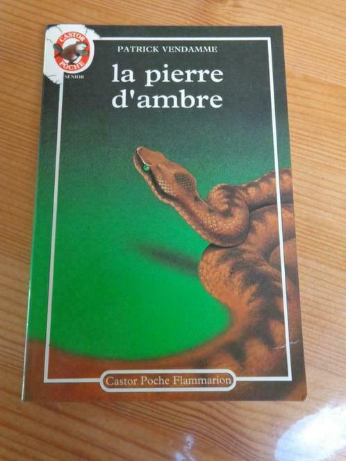 livre : La pierre d'ambre de Patrick VENDAMME (9 - 11 ans), Livres, Romans, Utilisé, Europe autre, Enlèvement ou Envoi