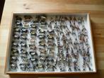 Metalen Figuren Napoleon 28mm, Hobby en Vrije tijd, Modelbouw | Figuren en Diorama's, Ophalen of Verzenden, Zo goed als nieuw