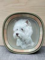 West Highland White Terrier/ Westie Porcelein Bord, Comme neuf, Chien ou Chat, Enlèvement ou Envoi