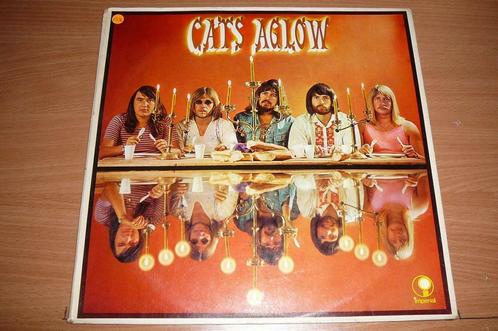 LP  The Cats  :  Aglow  (87), Cd's en Dvd's, Vinyl | Rock, Overige formaten, Ophalen of Verzenden