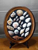 Marine - Collage de coquillages - Dans cadre bois sur trépie, Collections, Minéraux & Fossiles, Coquillage(s), Enlèvement ou Envoi