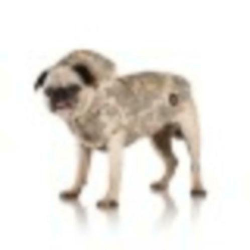 Kapsula superlight New : I Love My Dog, Dieren en Toebehoren, Honden-accessoires, Nieuw, Ophalen of Verzenden