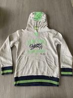Hoodie Vingino - maat 140, Kinderen en Baby's, Gebruikt, Trui of Vest, Ophalen of Verzenden, Vingino