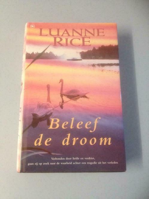 Luanne Rice : beleef de droom, Boeken, Romans, Gelezen, Ophalen of Verzenden