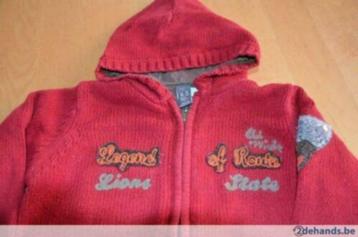 Pull rouge avec zip et capuche, taille 110, Garçon ou Fille, Enlèvement ou Envoi, Pull ou Veste, Zara
