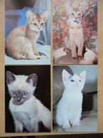 12 cartes bactrim roche chats 5106 a à 5106 l parfait état, Collections, Collections Autre, Enlèvement ou Envoi
