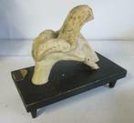 antiek anatomisch model knie, knieschijf ca 1900, Antiek en Kunst, Verzenden, Natuur en Biologie