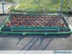 weidesleep met gietijzeren sterren 230cm breedte, Akkerbouw, Overige typen
