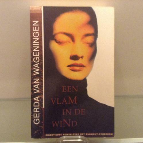 Een vlam in de wind, Livres, Romans, Utilisé, Belgique, Enlèvement ou Envoi