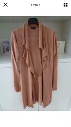 Caroline Biss halflange gilet maat 36, Ophalen of Verzenden