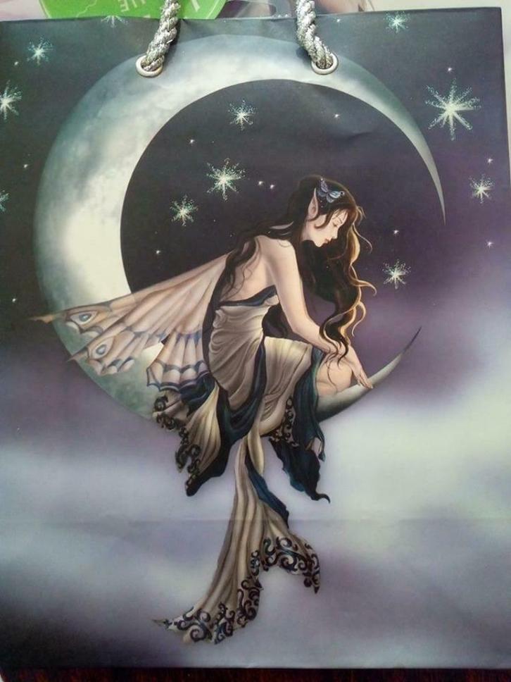 Geschenktas, Hobby en Vrije tijd, Overige Hobby en Vrije tijd, Nieuw, Ophalen of Verzenden