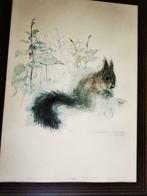 Illustration d'écureuil fou de scène signée dans le cadre, Antiquités & Art, Enlèvement ou Envoi