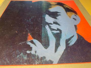 Andy Warhol Studio 150pag Pop Art, Enlèvement ou Envoi, Comme neuf, Peinture et dessin