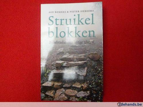 Age Romkes & Pieter Siebesma: Struikelblokken, Boeken, Godsdienst en Theologie, Gelezen, Ophalen of Verzenden