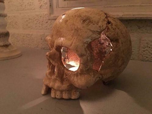 1 anatomische schedel, uit gietijzer-white-rust, Antiquités & Art, Curiosités & Brocante, Enlèvement ou Envoi