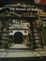 Op bezoek bij Rubens   opdrachten  basisschool, Ophalen of Verzenden, Gelezen