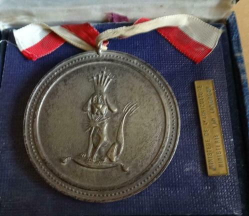 médaille / médaille Mouscron, Antiquités & Art, Curiosités & Brocante, Enlèvement ou Envoi