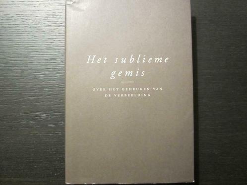 Het sublieme gemis -Over het geheugen van de verbeelding-, Boeken, Kunst en Cultuur | Beeldend, Zo goed als nieuw, Ophalen of Verzenden