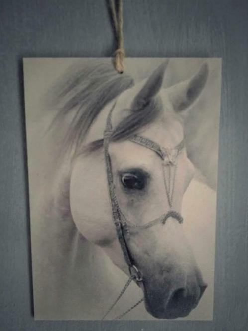 Houtprint paard, Huis en Inrichting, Woonaccessoires | Schilderijen, Tekeningen en Foto's, Nieuw, Print, Minder dan 50 cm, Minder dan 50 cm