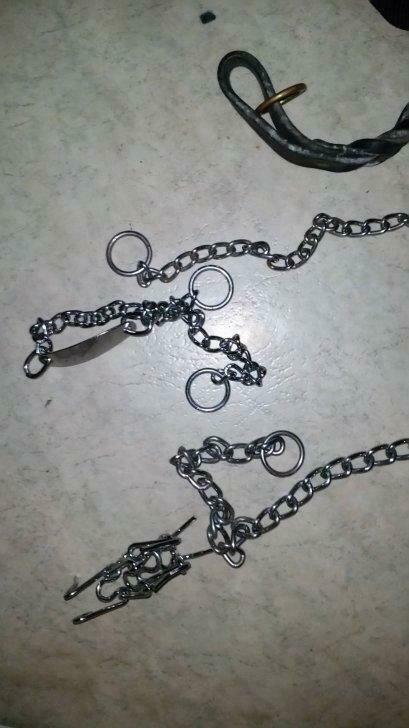 Accessoires pour nos amis les  chiens, Dieren en Toebehoren, Honden-accessoires, Nieuw, Ophalen