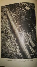 Lo Vermeulen Bart in Kongo 1949, Antiek en Kunst, Ophalen of Verzenden