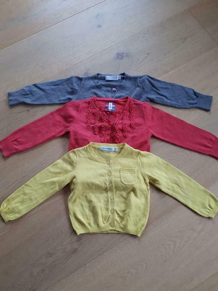 Cardigan / trui Filou en BFC - maat 92 - 2 jaar, Kinderen en Baby's, Kinderkleding | Maat 92, Gebruikt, Meisje, Trui of Vest, Ophalen of Verzenden