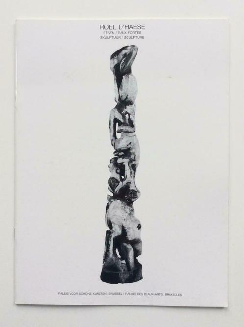 Roel D'Haese (Paleis voor Schone Kunsten, 1986), Livres, Art & Culture | Arts plastiques, Enlèvement ou Envoi