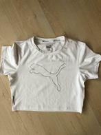 T-shirt Puma maat M, Vêtements | Femmes, T-shirts, Comme neuf, Taille 38/40 (M), Puma, Enlèvement ou Envoi