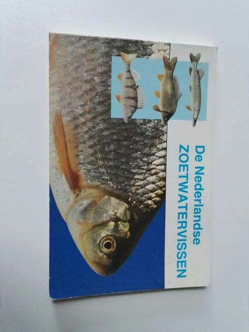 De Nederlandse zoetwatervissen, Livres, Nature, Comme neuf, Nature en général, Enlèvement ou Envoi