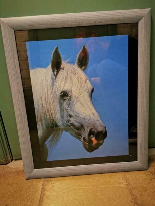 cadre photo cheval, Maison & Meubles, Accessoires pour la Maison | Peintures, Dessins & Photos, Enlèvement