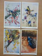 4 postcards winnifred austen birds 5215 à 5218 oiseaux, Enlèvement ou Envoi