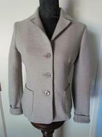 Vest Herno, Kleding | Dames, Maat 42/44 (L), Ophalen of Verzenden, Herno, Grijs