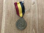 Medaille Vlaamse Nationale bedevaart Antwerpen Lourdes, Postzegels en Munten, Penningen en Medailles, Ophalen of Verzenden