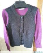 gilet Sandwich, Kleding | Dames, Ophalen of Verzenden, Nieuw, Maat 36 (S)