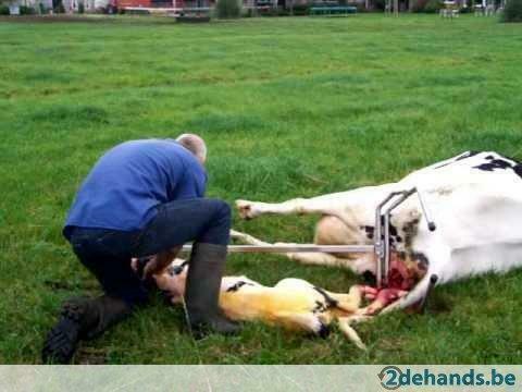 Kalfverlosser verloshulp klemtang Agrodieren, de beste prijs, Zakelijke goederen, Landbouw | Werktuigen, Veehouderij, Overige typen