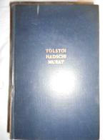 Leo Tolstoi, Hadschi Murat und andere Erzählungen, Malik V, Ophalen of Verzenden, Gelezen, Leo Tolstoi, Europa overig