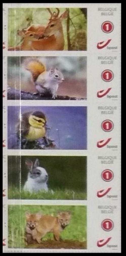 Duostamp Les animaux de chez nous (5 timbres autocollants), Timbres & Monnaies, Timbres | Europe | Belgique, Timbre-poste, Enlèvement ou Envoi