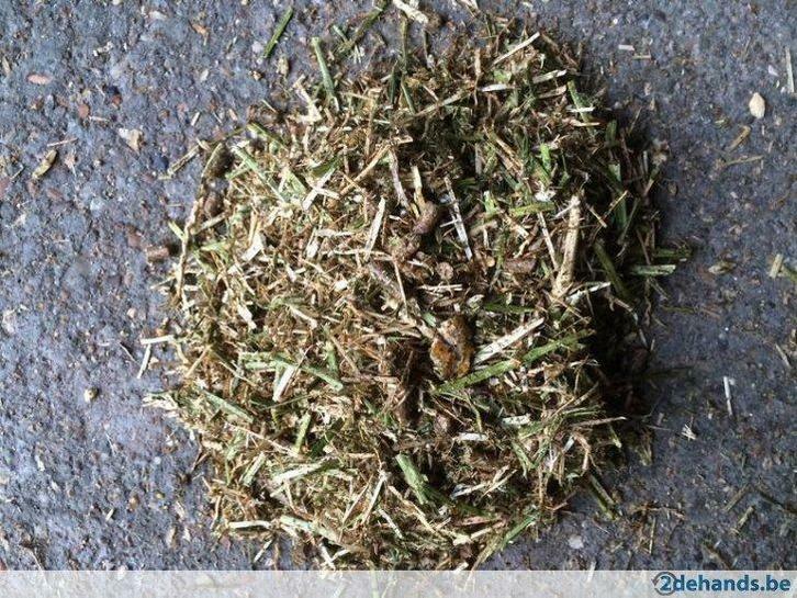 Kalveropfok mengeling 20KG Agrodieren, de beste prijs, Zakelijke goederen, Landbouw | Werktuigen, Veehouderij, Overige typen, Ophalen of Verzenden
