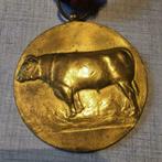 Medaille Veepryskamp Joseph Witterwulghe Wetteren, zie besc, Ophalen of Verzenden, Overige materialen
