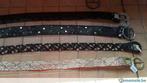 Ceinture pour dame, Vêtements | Femmes, Ceintures, Enlèvement ou Envoi, Neuf, Autres couleurs