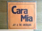 single jay and the americans, Cd's en Dvd's, Vinyl | Overige Vinyl