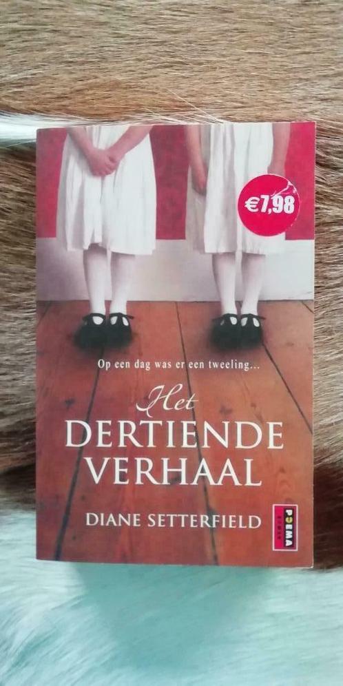 Dertiende verhaal, Boeken, Romans, Zo goed als nieuw, Wereld overig, Ophalen of Verzenden