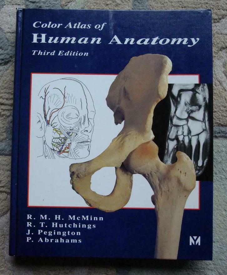 Color Atlas of Human Anatomy - als nieuw, Boeken, Studieboeken en Cursussen, Zo goed als nieuw, Hoger Onderwijs, Ophalen of Verzenden