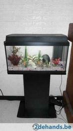 Juwel rekord 60 aquariumset te koop., Dieren en Toebehoren, Gebruikt, Ophalen