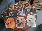 Grote foto stickers van honden, Dieren en Toebehoren, Ophalen of Verzenden