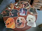 Grote foto stickers van honden, Dieren en Toebehoren, Ophalen of Verzenden