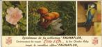 BUVARD COLLECTIE FAUNE FLORE CHOCOLADE COTE D'OR, Verzamelen, Postkaarten | Dieren, 1940 tot 1960, Overige soorten, Ongelopen