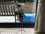Plantenhouder, Antiek en Kunst