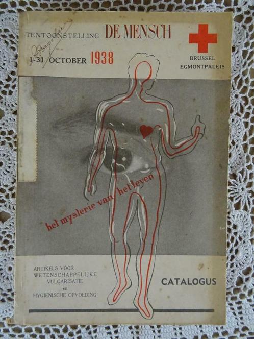 Livre médical ancien Exposition Homme 1938 Bruxelles, Antiquités & Art, Antiquités | Livres & Manuscrits, Enlèvement ou Envoi